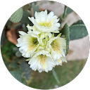 Michelle Chrusciel profile picture